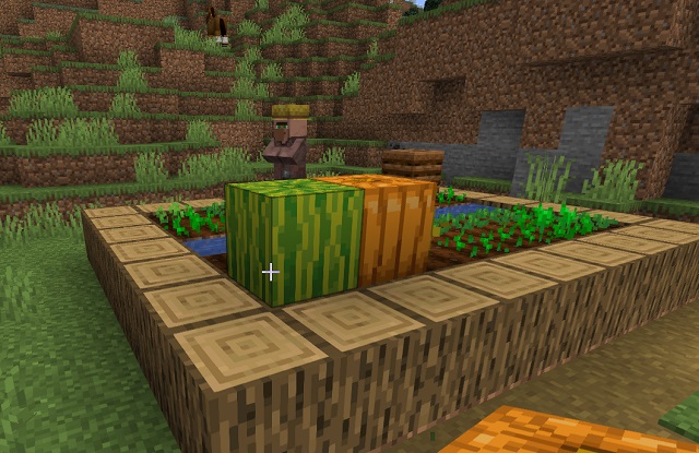 Cómo plantar semillas y cultivar en Minecraft ES Atsit