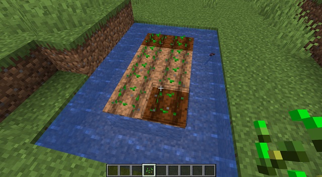 Cómo plantar semillas y cultivar en Minecraft ES Atsit