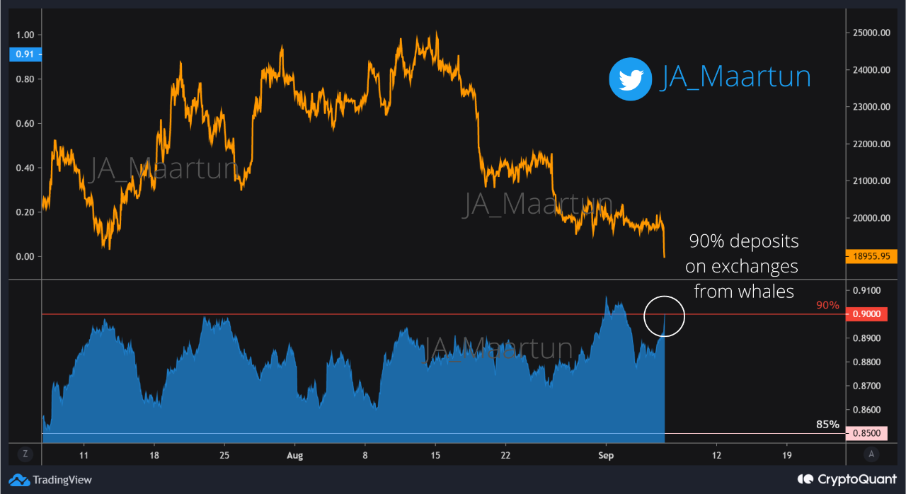 Los Datos De La Cadena Muestran Que La Ballena De Bitcoin Cae Por