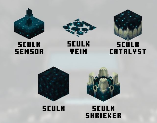 Tous Les Types De Blocs Sculk Dans Minecraft Expliqu Fr Atsit