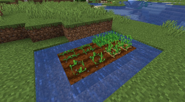 Como Plantar Sementes E Cultivar No Minecraft Br Atsit