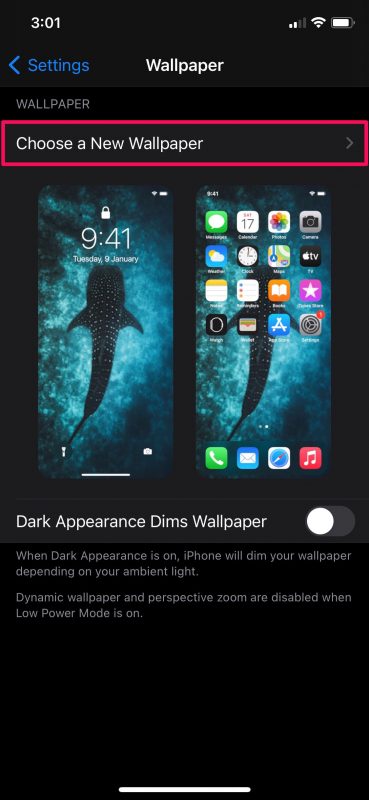 So legen Sie ein GIF als Hintergrundbild auf iPhone und iPad fest