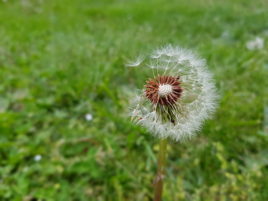 Google Fotos „Hohe Qualität“ (4032 x 3024=12,19 MP; 1,05 MB)-Google Fotos "Hohe Qualität" vs "Original": Was ist der Unterschied und sollten Sie sich darum kümmern