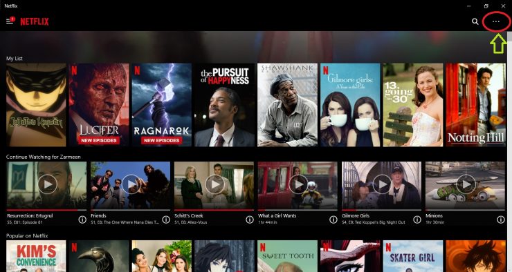 Netflix-Einstellungen