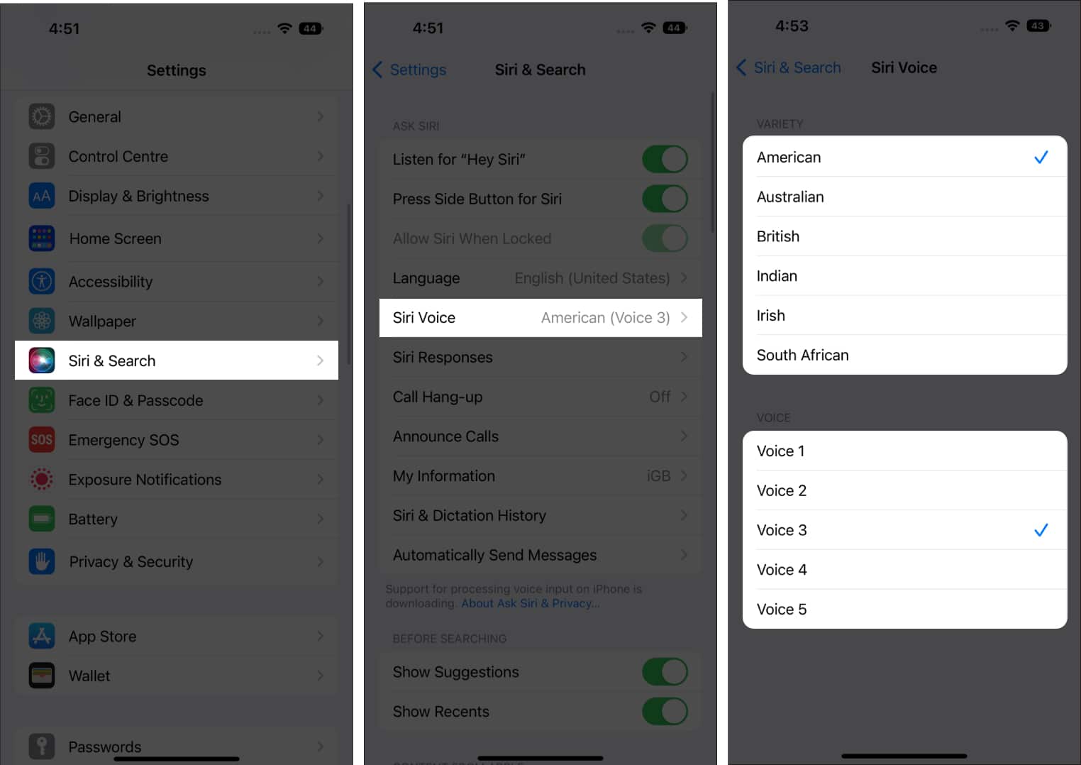 So ändern Sie die Google MapsStimme auf AppleGeräten DE Atsit