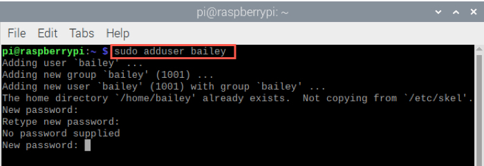 Raspberry Pi Agregar usuario