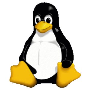 LINUX KERNEL-