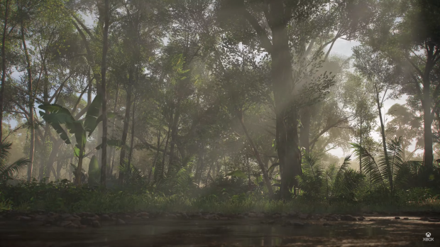 Forza Horizon 5: Trazado de rayos, texturas de fotogrametría 12K de alta gama 14 | TweakTown.com