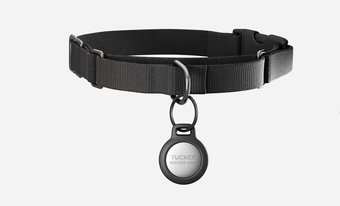 Nomad Rugged Pet Tag