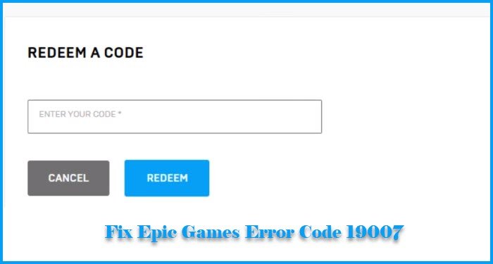 Epic Error Code 19007