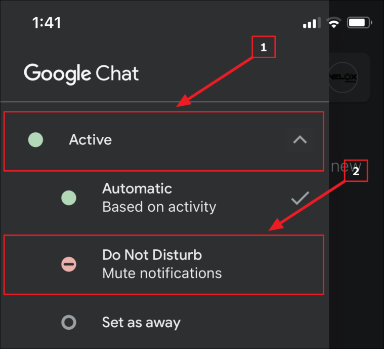 Google Chat sous iOS