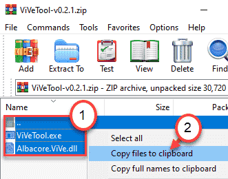 Vive Copy Files Min