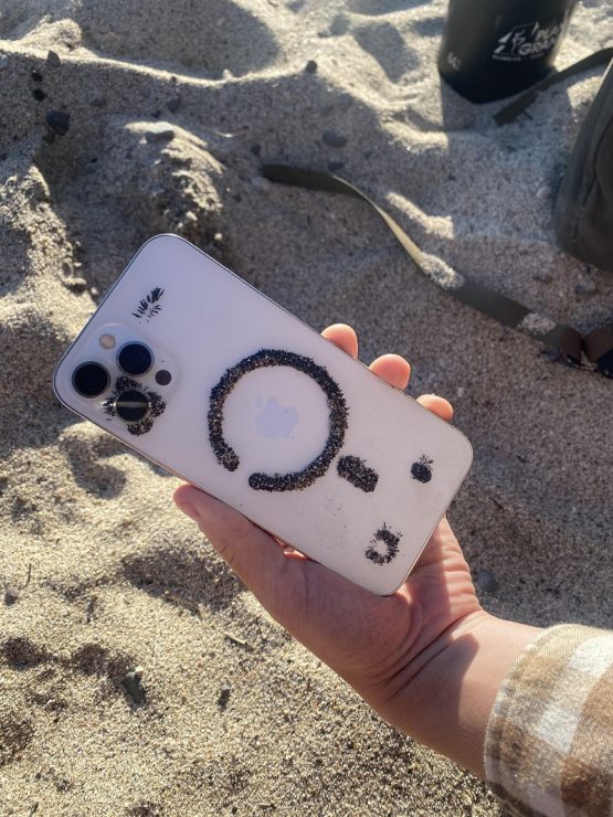 iPhone 12 Pro récupère le fer du sable avec des aimants MagSafe