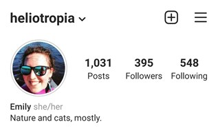 instagram-pronoms-bio-profile