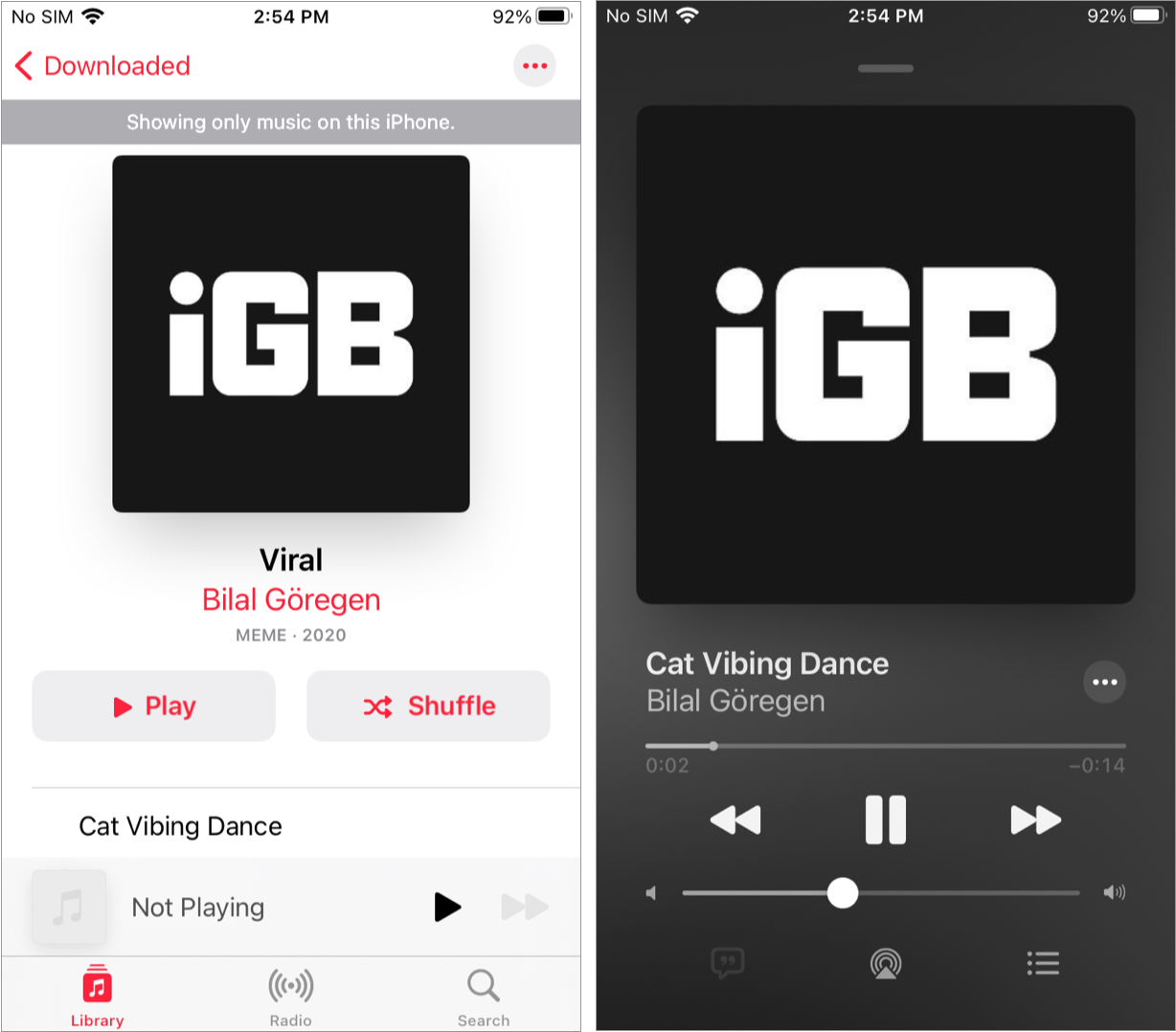 Fichier audio sur iPhone avec toutes les métadonnées