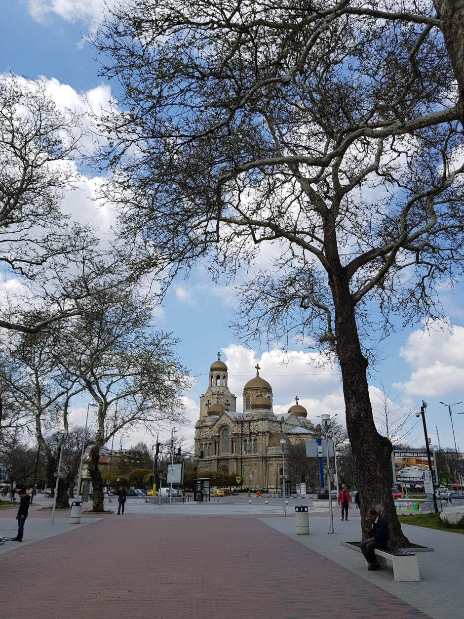 Google Photos'Haute qualité'(2268 x 3024=6,86 MP; 2,68 Mo)-Google Photos "Haute qualité" vs "Original" : quelle est la différence et devriez-vous vous en soucier