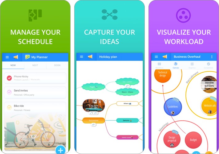 Capture d'écran de l'application de cartographie mentale Ayoa