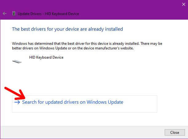search-for-updated-drivers-windows-update