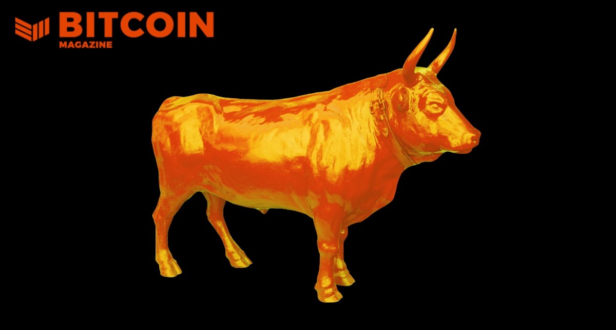 un trader esperto rivela il prossimo bitcoin