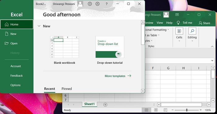 CARA MEMBUKA 2 FILE EXCEL SEKALIGUS