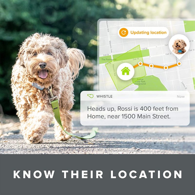 Whistle Go Explore-Ultimate Health & Location Tracker for Pets