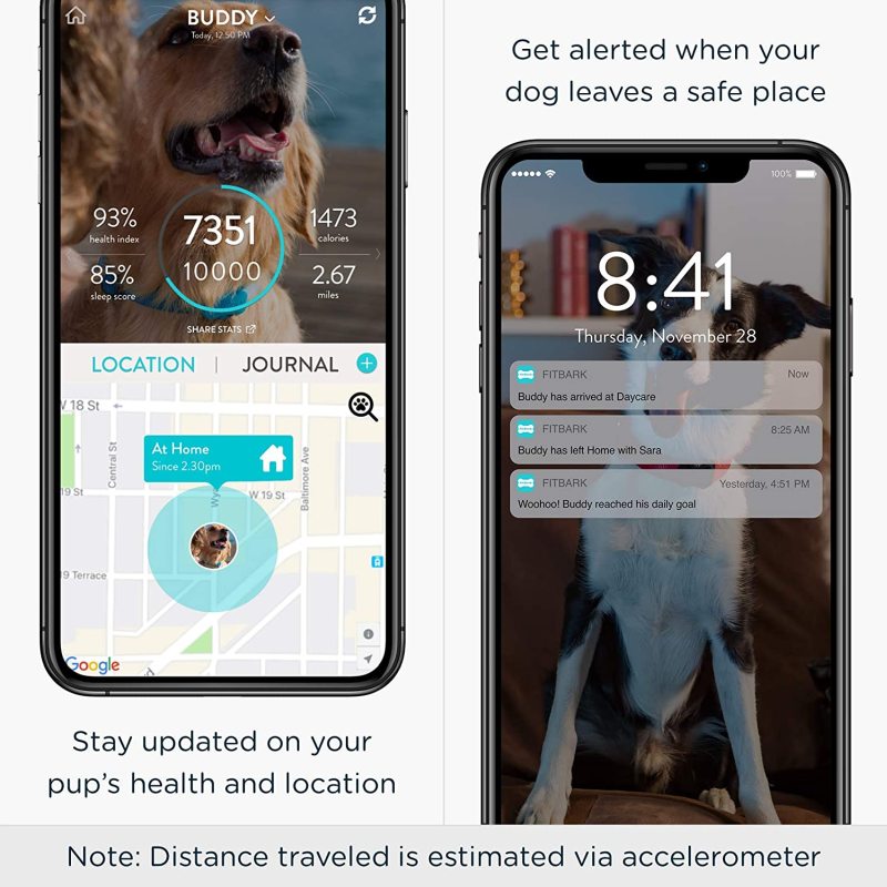 Localizzatore GPS FitBark per cani | Collare intelligente per localizzazione animali e salute