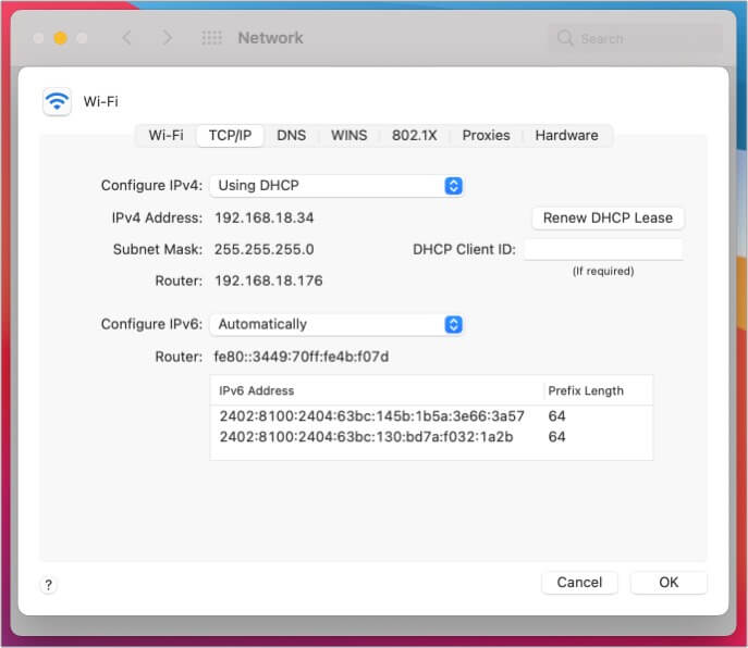 Vai alla scheda TCP/IP in anticipo opzioni su Mac