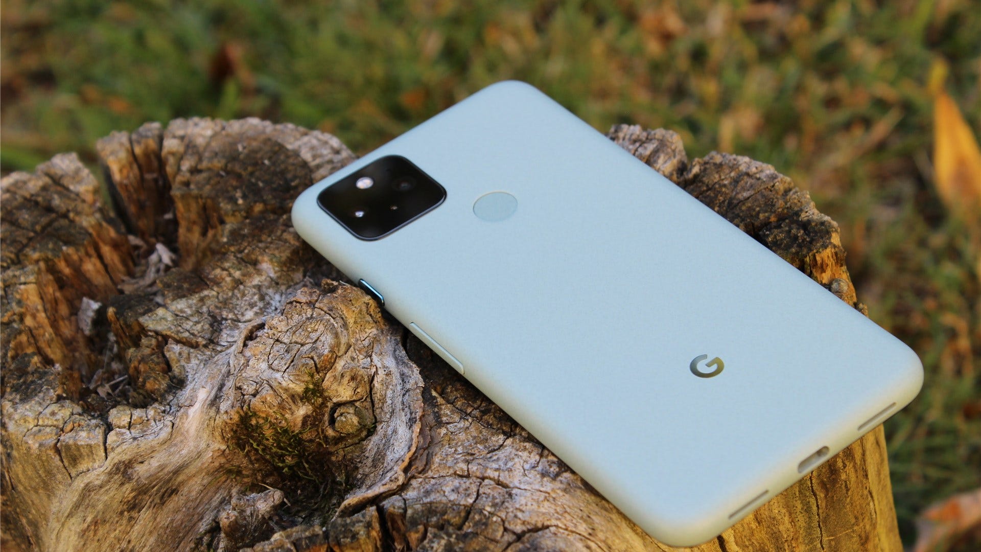 The Sage Green Pixel 5 sdraiato a schermo sul tronco di un albero