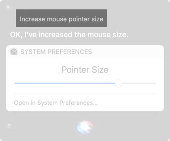Chiedi a Siri di aumentare le dimensioni del puntatore del mouse su Mac