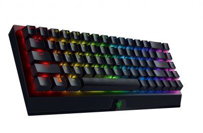 BlackWidow V3 Mini