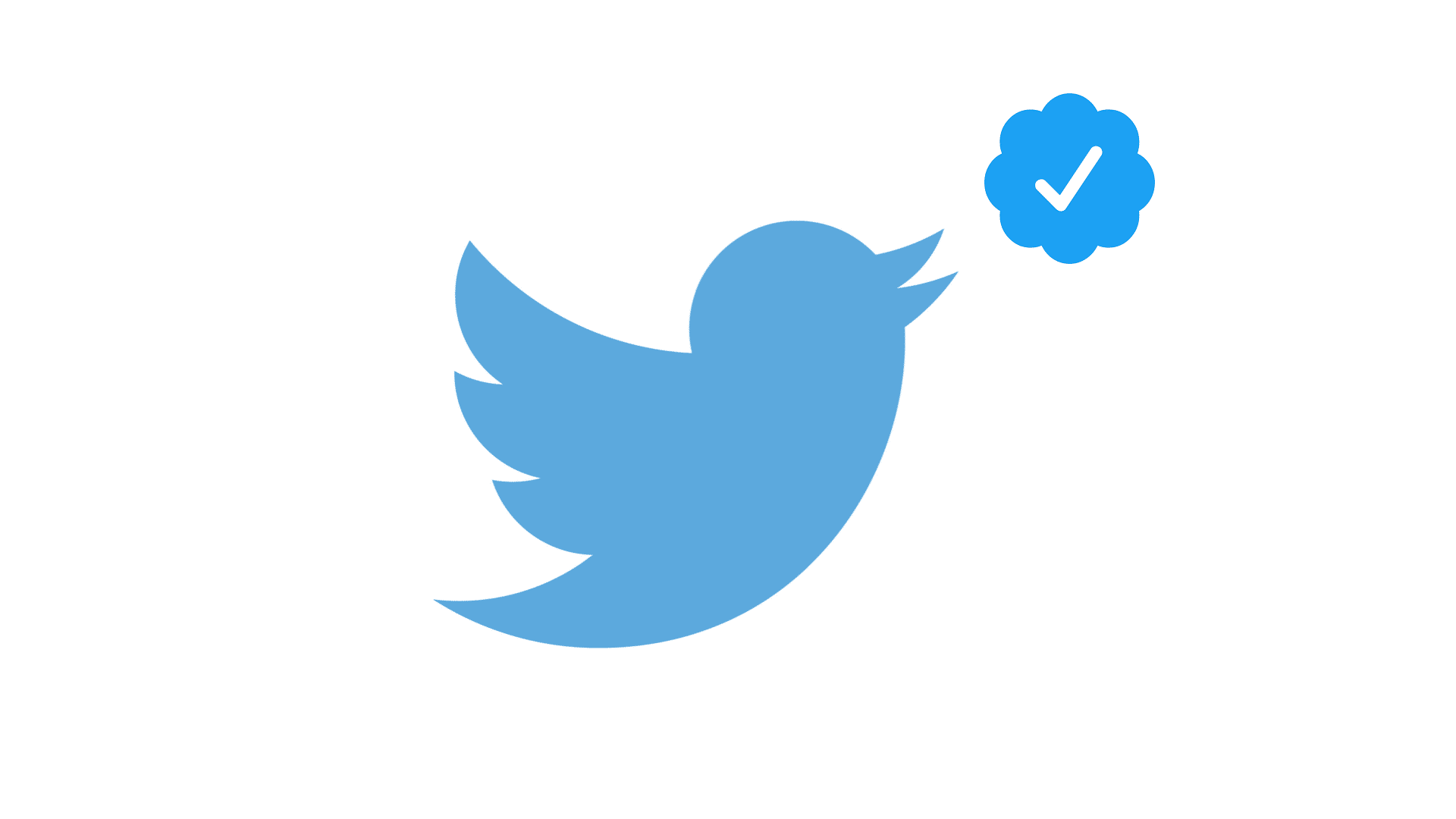 twitter nuovo programma di verifica blu