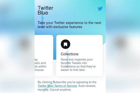 Twitter Blue (Immagine: Twitter/@wongmjane) 