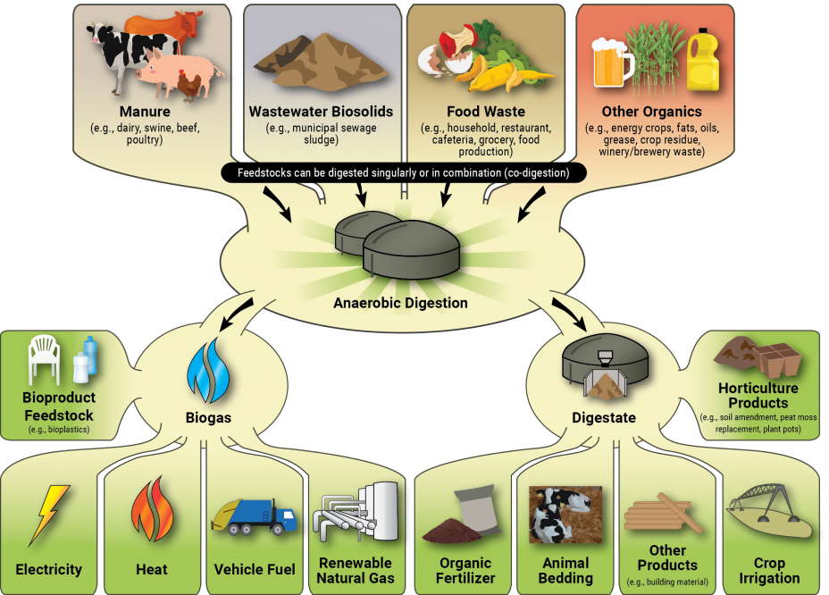 il biogas attraverso la digestione anaerobica può alimentare l'estrazione di criptovaluta