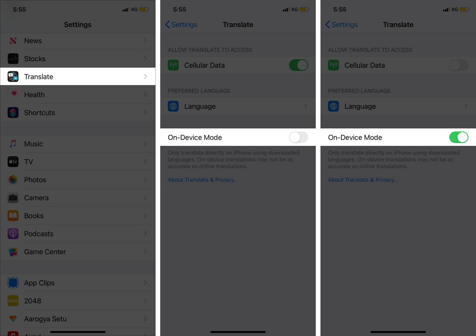 enable-on-device mode for translate app on iphone
