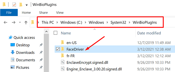 windows-hello-face-driver-folder