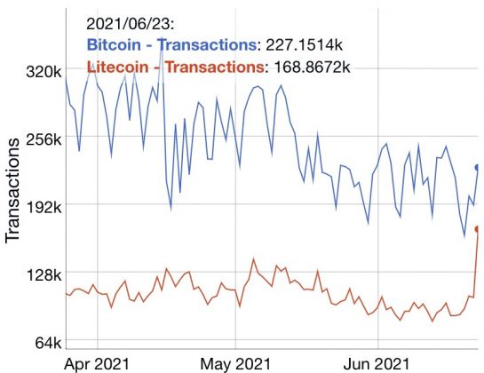 differenza tra bitcoin e litecoin