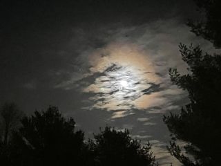 iPhone 12 Pro Max review camera sample