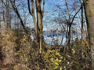 iPhone 12 Pro Max review camera sample