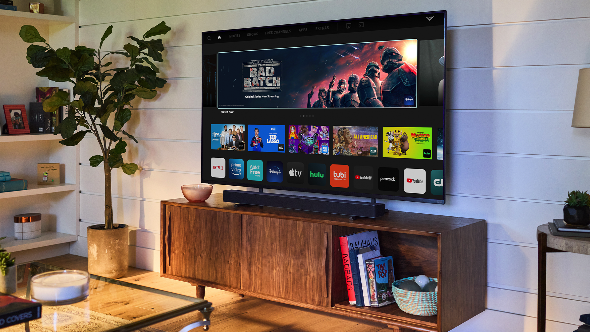 A Vizio TV.