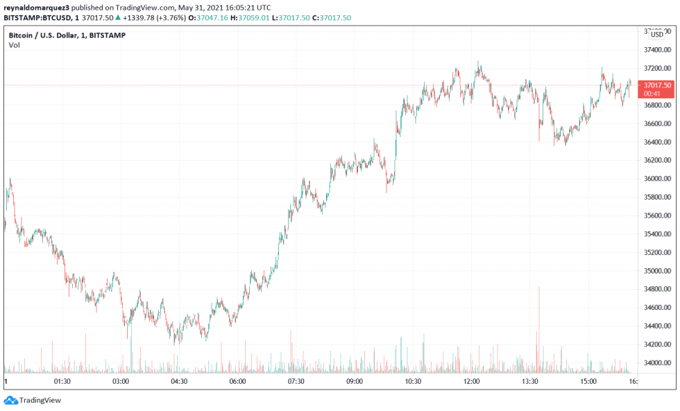 Bitcoin BTC BTCUSD