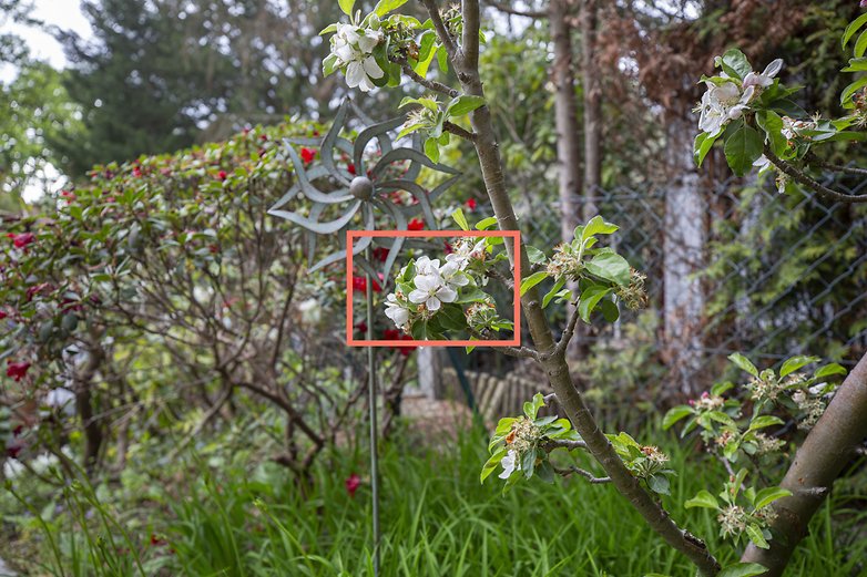 シーン 2 クロップ