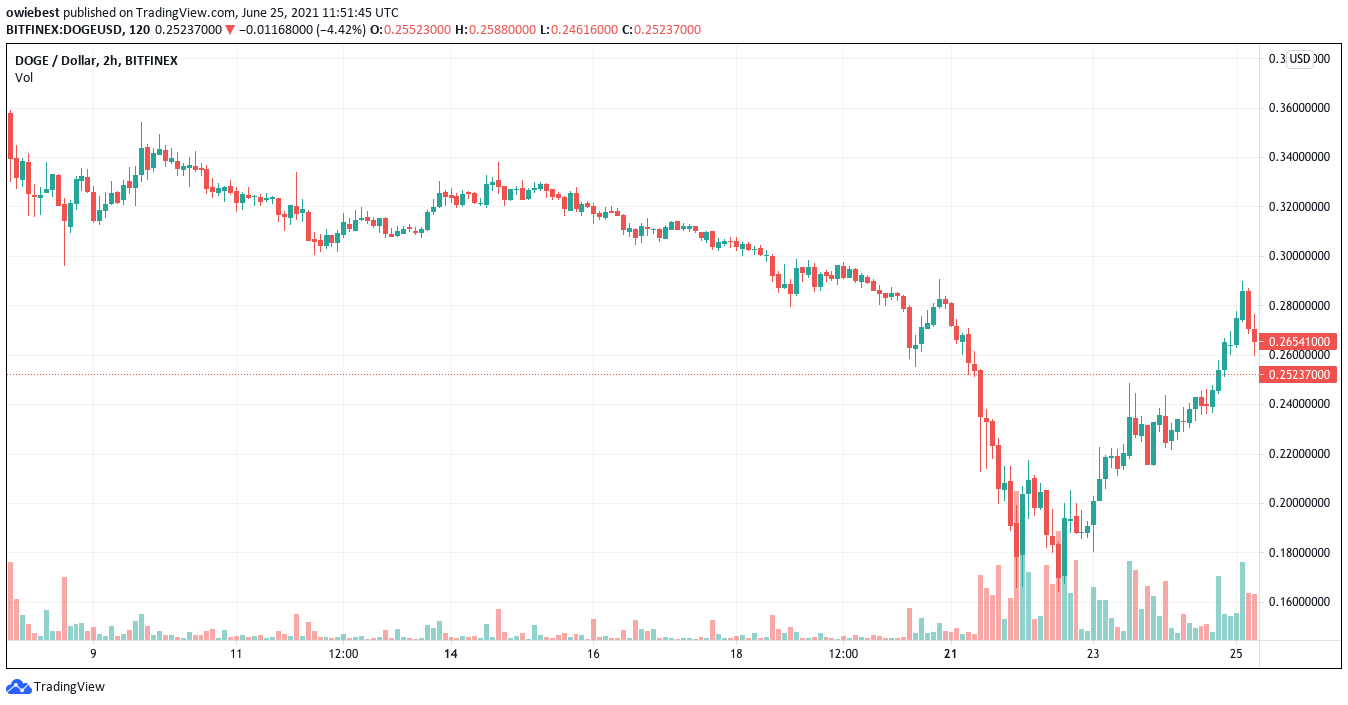 TradingViewのドージコインチャート.com