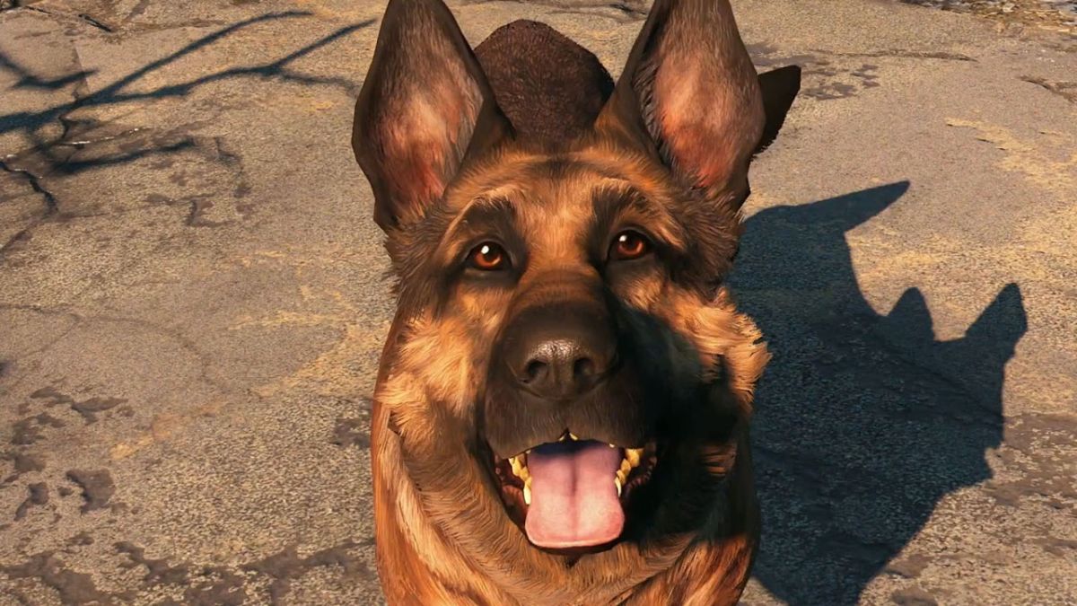 フォールアウト4でドッグミートをプレイした犬が亡くなりましたフォールアウト4のドッグミートの画像 Ja Atsit