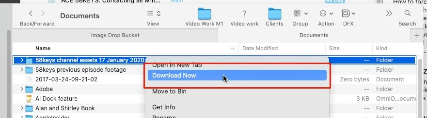 Finderでファイルに移動し、右クリックして[今すぐダウンロード]を選択します