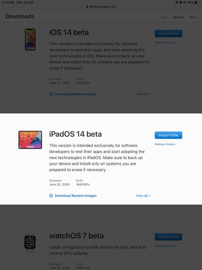 iPad の開発者アカウントで ipados 14 beta の横にあるインストール プロファイルをタップ