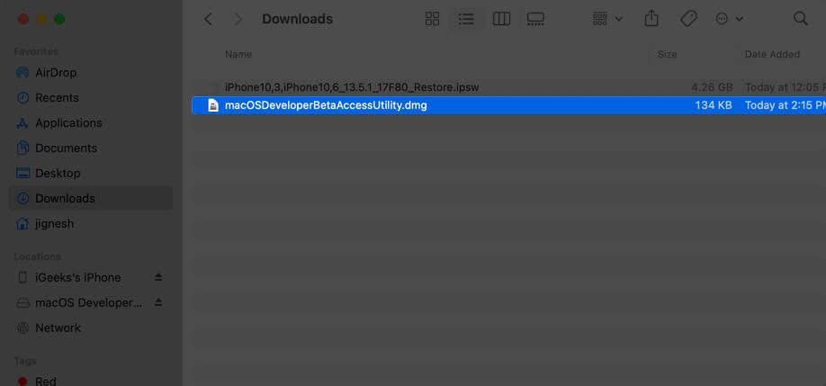 ダウンロードした dmg ファイルをダブルクリックして Mac で開きます