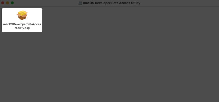 macOSDeveloperBeta pkg をダブルクリック