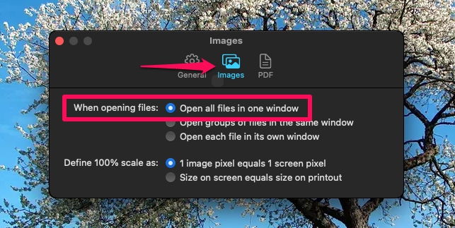Mac で WebP 画像を JPG にバッチ変換する方法