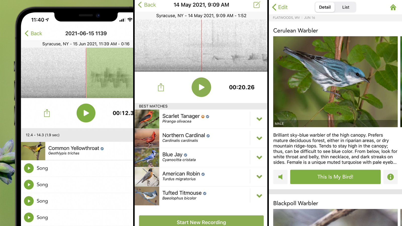 このアプリは鳥の鳴き声を聞いて それが何であるかを教えてくれます Ja Atsit