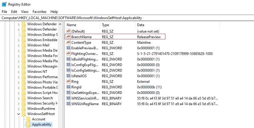 Windows11開発チャネルを有効にする